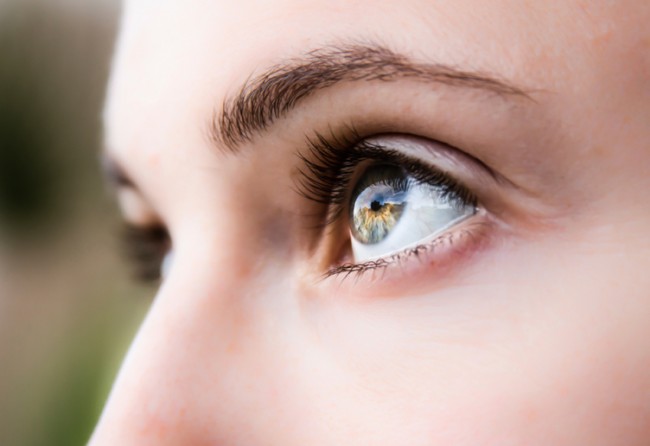 support vision health